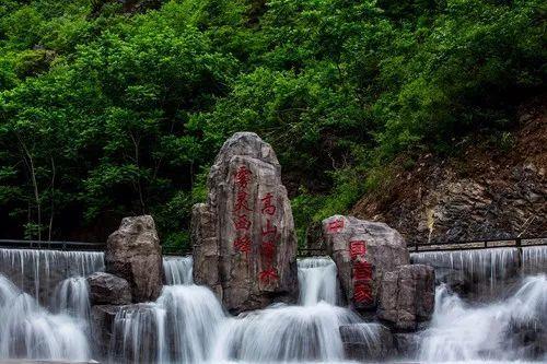 祁连山区三只雪豹夜间一起外出被拍下